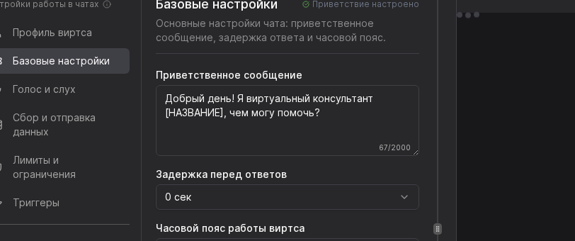 Раздел базовых настроек чата