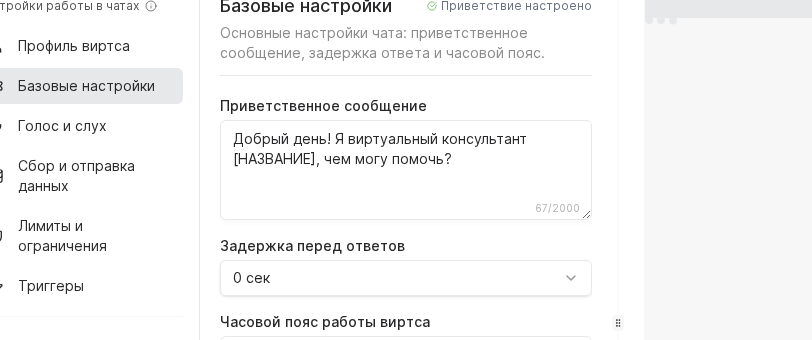 Раздел базовых настроек чата